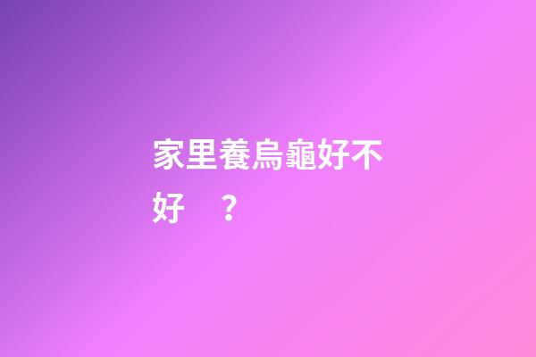 家里養烏龜好不好？